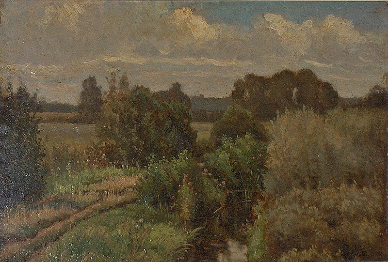 Summery landscape